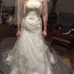 Wedding dress and veil